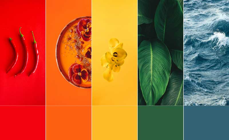 بهترین ترکیب رنگ برای دکوراسیون داخلی