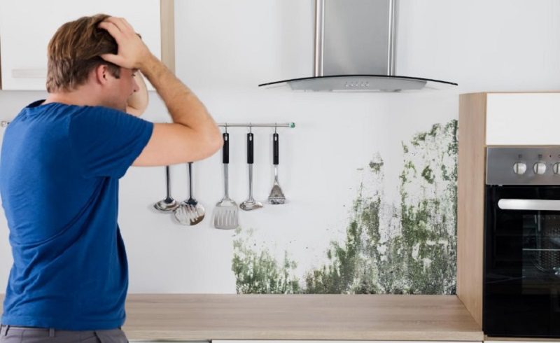 نم و رطوبت دیوارها : علل، نشانه‌ها + راهکارهای تضمینی ترمیم