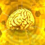 همه چیز درباره رنگ زرد